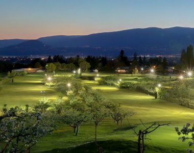 Night Time Golfing